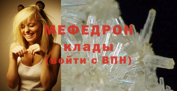 стафф Ельня