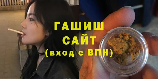 стафф Ельня