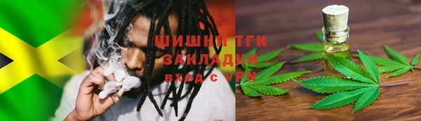 стафф Ельня