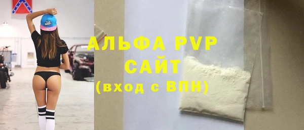 стафф Елизово