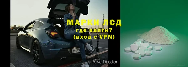 стафф Елизово