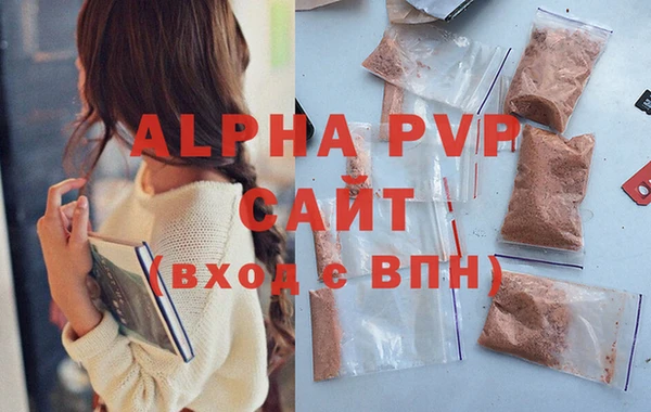 стафф Ельня