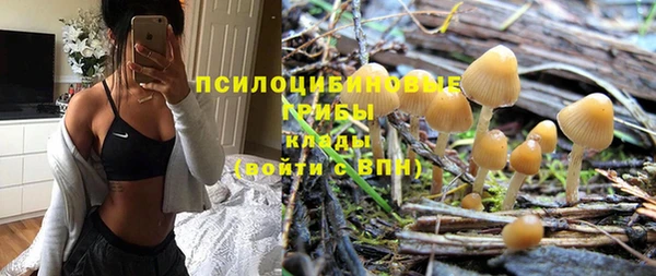 стафф Елизово