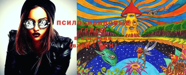 стафф Ельня