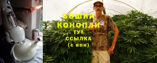 дживик Елабуга