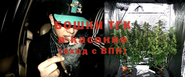 стафф Ельня