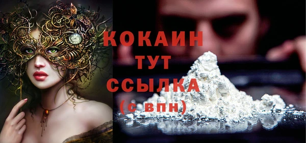 стафф Ельня