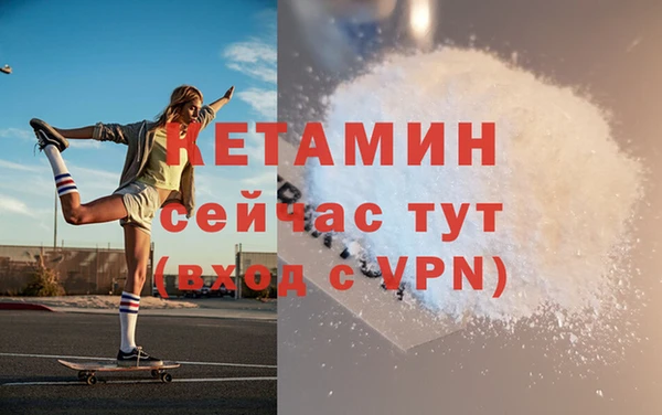 стафф Ельня