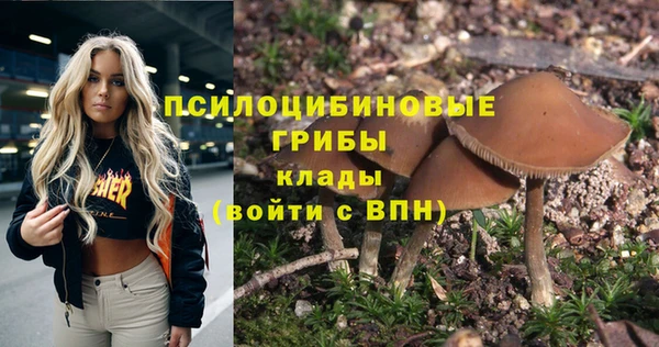 стафф Ельня