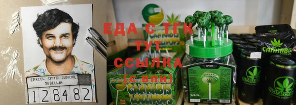 стафф Ельня