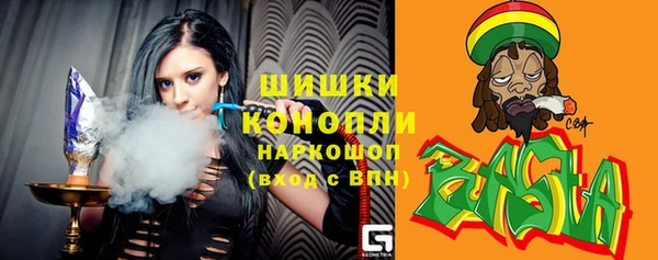стафф Ельня