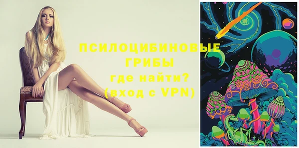 стафф Елизово