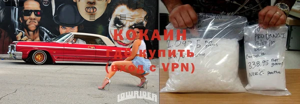 стафф Ельня