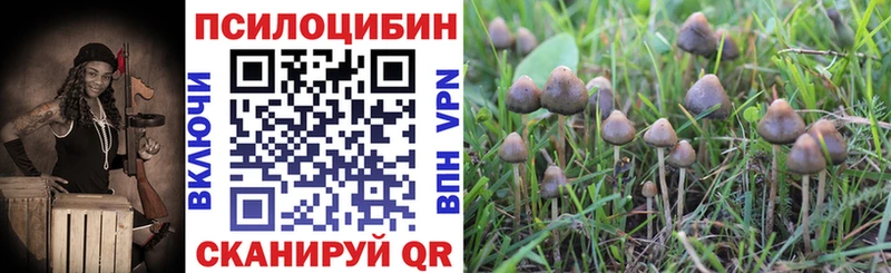 купить закладку Химки Галлюциногенные грибы мицелий